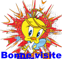 bonne visite