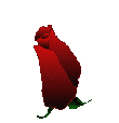 fleur